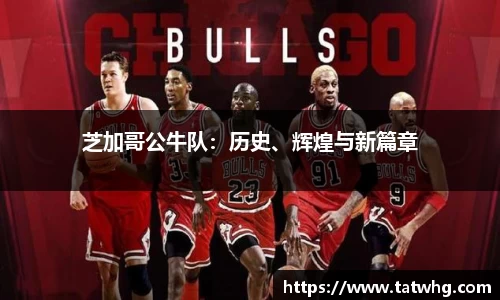 芝加哥公牛队：历史、辉煌与新篇章